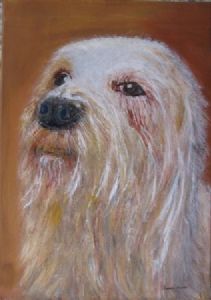"Man's Best Friend"