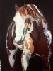 "Apache Horse"