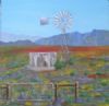 "Spring in the Karoo"