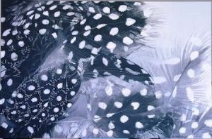 "Feathers"