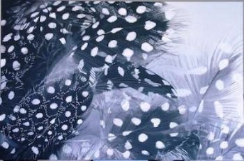"Feathers"
