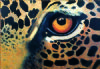 "Leopard Eye"