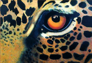 "Leopard Eye"