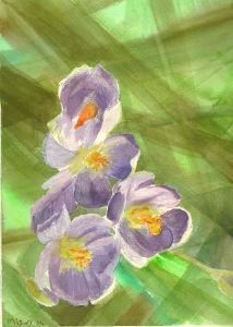 "Hocus Crocus"