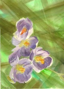 "Hocus Crocus"