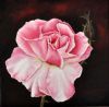 "Rose of Elegance 3"