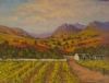 "Cape Vineyards 1"