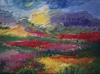 "Namaqualand in Flower"