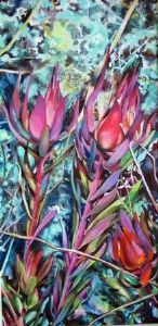 "Vibrant Protea"