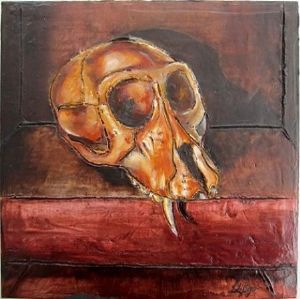 "Juvenile Baboon Skull 27"