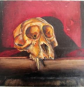 "Juvenile Baboon Skull 28"