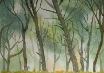 "Misty Forest"