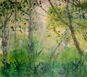 "Forest Magic"