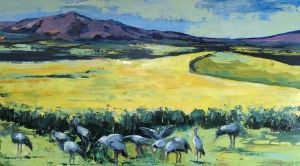 "Blue Cranes Among Canola Fields"
