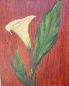 "Arum Lily"