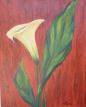 "Arum Lily"