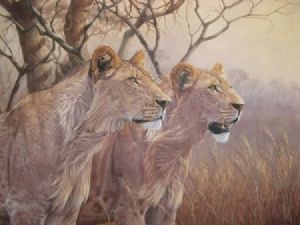 "Lions in Morning Light"