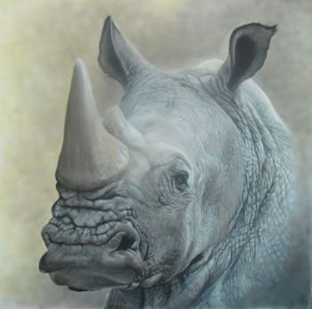 "Rhino"