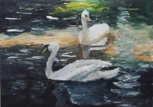 "Mute Swans"
