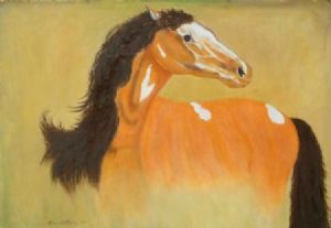 "Stallion"
