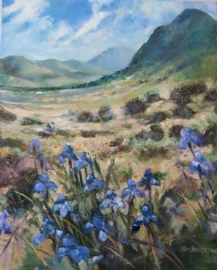 "Wild Irises Near Mcgregor"