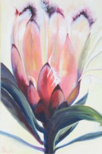 "Pink Protea"