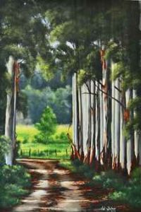 "Forest Pathway - Stutterheim"
