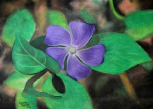 "Purple Flower"