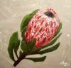"Protea 2"