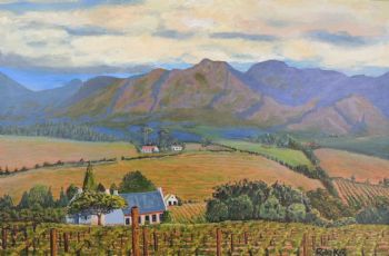 "Vineyards in Boland"