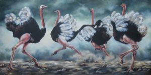 "Ostriches"