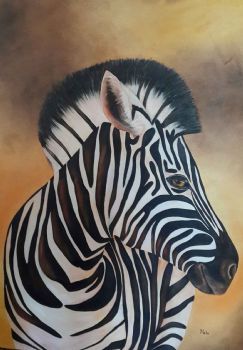 "Zebra"