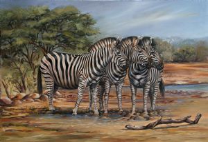 "Zebras At The Water Hole"