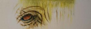 "Windows to the Soul 3"