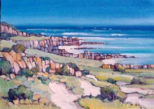 "Seagulls on the Wind, Jacobsbaai"