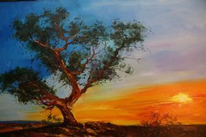"Kalahari Sunset"