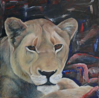 "Lion Watching"