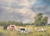 "Nguni Cattle Farm Port Alfred 2"