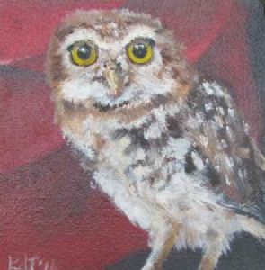 "Owl 1"