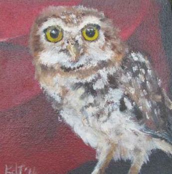 "Owl 1"