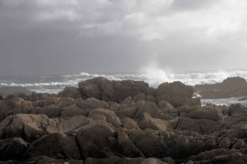 "Storm"