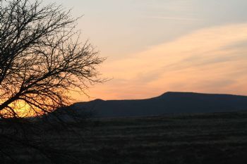 "Sunset"