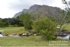 "Botanical Garden Bettys Bay_Scenery 02"