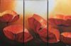 "Poppy Flowers - Triptych"