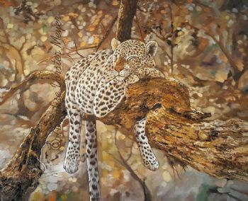 "Sleeping African Leopard"