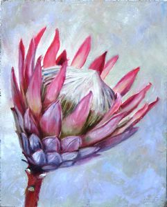 "King Protea 3"