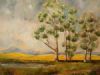 "Canola Fields"