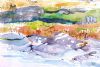 "Baboons at the River"