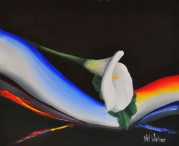 "Lily Light"