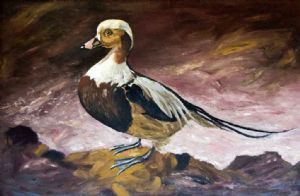 "Solitary Duck"